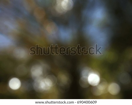 bokeh background from block forest park nature landscape view  photo