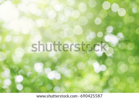 Abstract background. background blur natural and light background in the park.