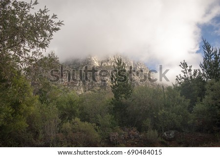 View of table mountain from Newlands forest cover in clouds
