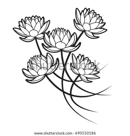 four lotus flowers in black outline-vector drawing