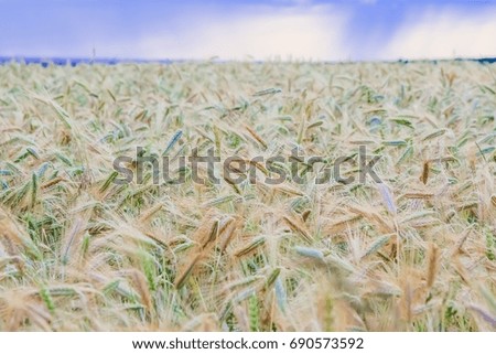 green field landscape with blue sky and stormy clouds.