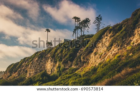 Cliffs and palm trees during sunset at Point Dume State Beach, Malibu, California Royalty-Free Stock Photo #690573814