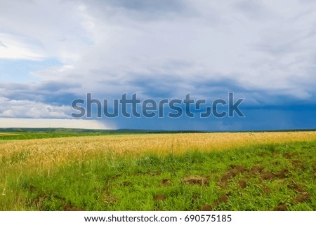 green field landscape with blue sky and stormy clouds