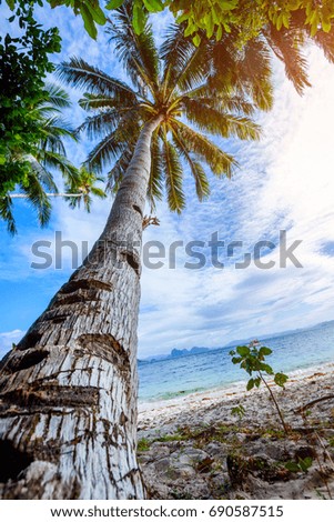 View of nice tropical beach with palms around