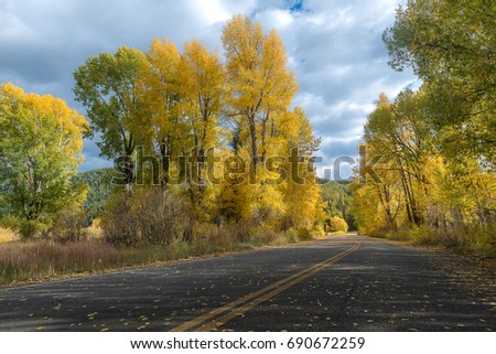 Colorful autumn along country road