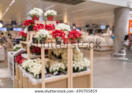 blur picture background of Christmas tree or Plastic Poinsettia plastic flowers display showroom in furniture mall
