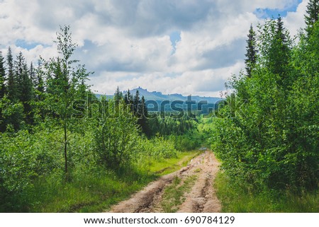Forest road leading to the mountains
