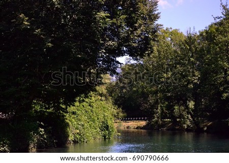 Picture of the nature in the Savière channel, near the cities of Chanaz and Aix-les-bains (France)