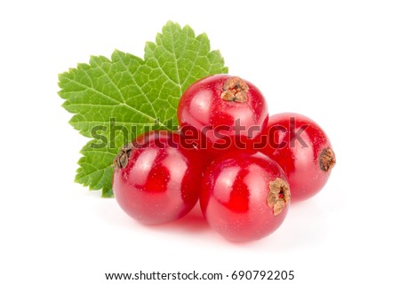 Red currant berries with leaf isolated on white background Royalty-Free Stock Photo #690792205