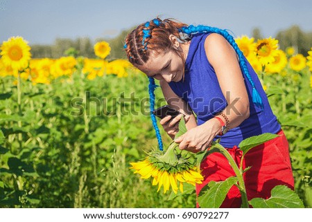 A young woman with long blue pigtails in bright summer clothes takes pictures of a green stalk of a sunflower on a field of sunflowers on a summer day