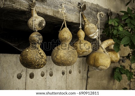 Dried pumpkins placed for decoration, detail of dried fruit