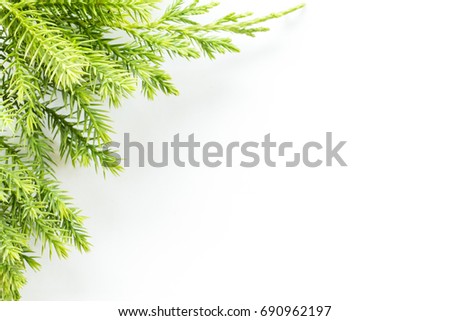 juniper, Thuja twig Christmas border on white background.