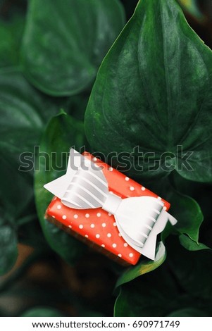 Gift box wrap polka dot paper over nature green leaf background.