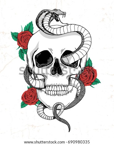 Rock and roll graphic design with skull, roses and snake illustration for t-shirt and other uses.