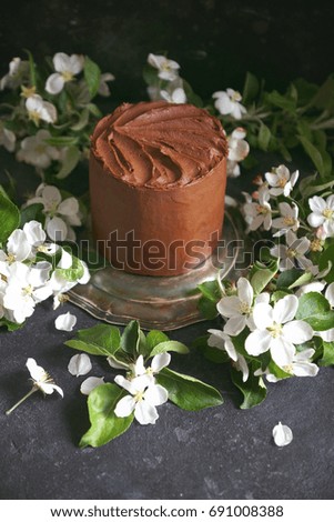 Chocolate cake with apple trees flowers on a dark background