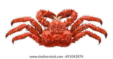 Red brown king crab isolated on white background as package design element Royalty-Free Stock Photo #691042876