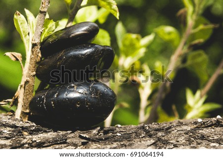 Black pebbles on a background of green grass