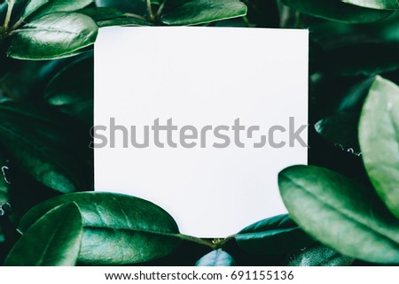 Creative layout made of leaves with white paper card note. Flat lay. Copy space for text.