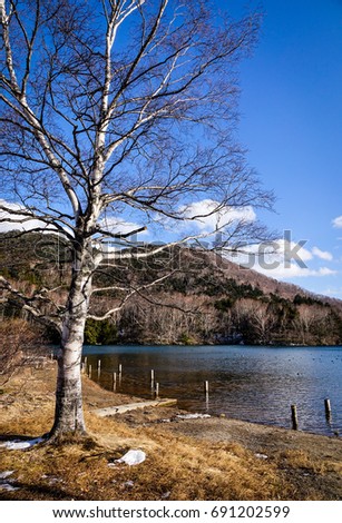 Lake scenery with dried trees at winter time in Nikko, Japan.