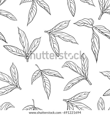beautiful monochrome black and white seamless background leaves Hand-drawn. Design for greeting cards and invitations of wedding, birthday, Valentine s Day, mother s day and other seasonal holiday