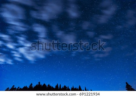 Night sky full of stars and white fast moving clouds, wilderness pine trees along bottom border, inspiration and astronomy background