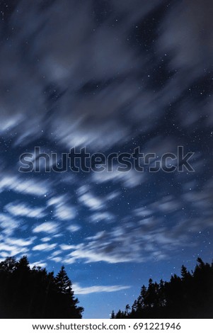 Bright night sky lit by sparkling stars and fast moving clouds, trees and wilderness silhouetted along bottom of vertical composition, travel, inspiration and astronomy concepts