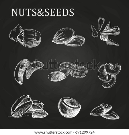 Nuts and seeds sketch on chalkboard. Vector nutshell sketch illustration