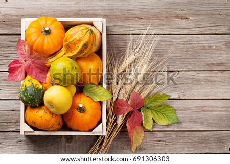 Autumn pumpkins in box on wooden table. Top view with copy space