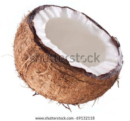 High-quality photos of coconuts on a white background.