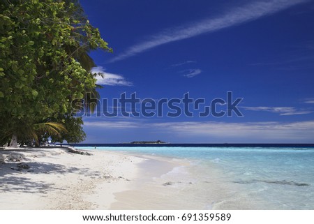 Beautiful view of the exotic resort, Maldives, palm trees,
