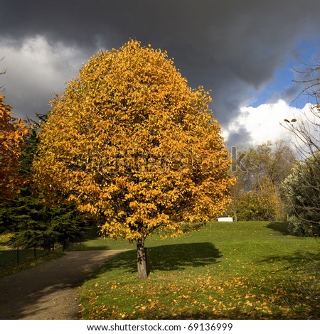 Autumn in Hyde Park London
