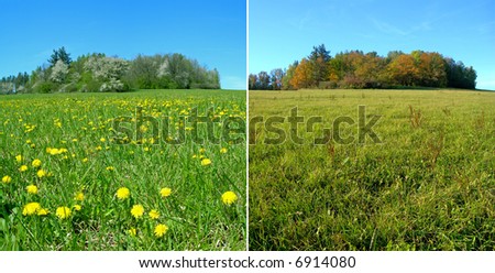One meadow during the spring and fall seasons