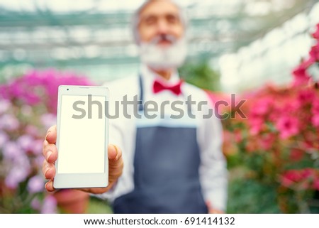 Mobile app. Senior bearded gardener showing screen of smartphone at greenhouse. Focus on cellphone.