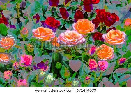 Abstract image. beautiful flowers made with color filters. Spring floral botanical nature background.