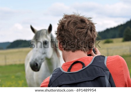 Photography of the horse
