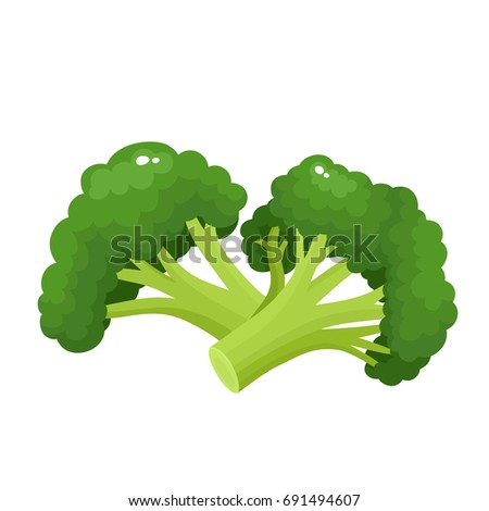 Bright vector collection of colorful broccoli. Fresh cartoon different vegetable isolated on white background used for magazine, book, poster, card, menu cover, web pages. Royalty-Free Stock Photo #691494607
