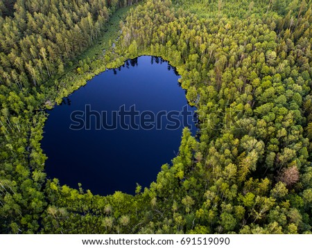 Aerial view of wild forest lake in Lithuania Royalty-Free Stock Photo #691519090