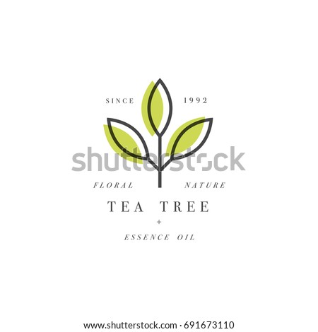 Vector set of packaging design template and emblem - beauty and cosmetics oil - tea tree. Logos in trendy linear style Royalty-Free Stock Photo #691673110