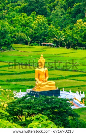 The big gold buddha statue in rice field at country side temple "Wad Na Koo Ha" Phrea Northern Thailand.