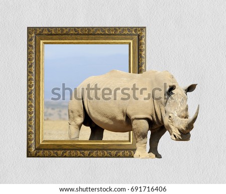 Rhino in old wooden frame with 3d effect
