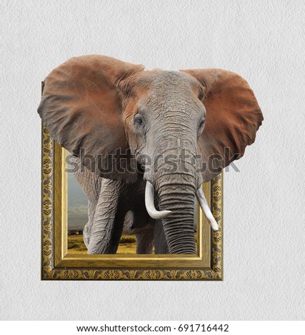 Elephant in old wooden frame with 3d effect