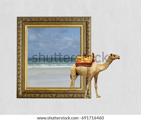 Camel in old wooden frame with 3d effect