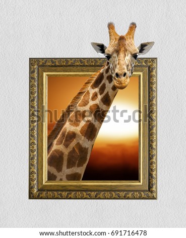 Giraffe in old wooden frame with 3d effect