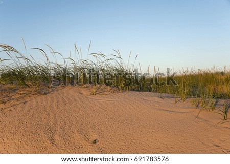 Sandy dune texture in warm light