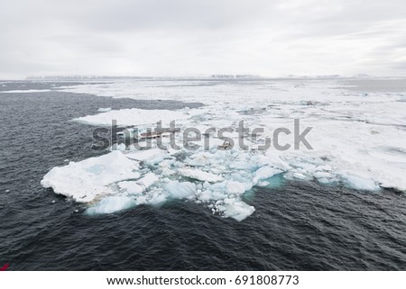 Iceberg floats in the polar sea of Svalbard, Spitsbergen, Norway