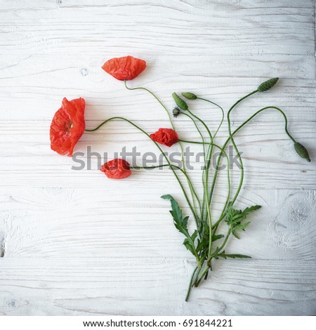 Red poppy flowers on white wooden background