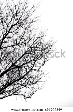 Tree Silhouette Isolated on White Backgorund. EPS1