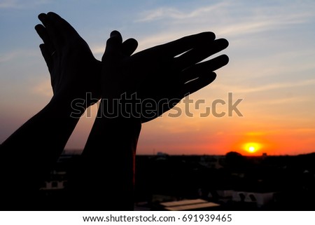 silhouette of a hand gesture like bird flying on a background sunset