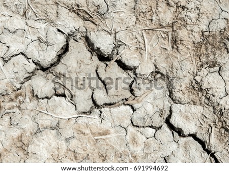 The ground is covered with cracks, erosion, land, drought