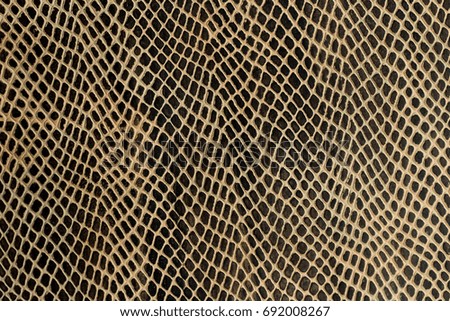 Leather snake textured background